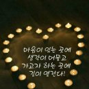 플랜스킨