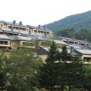 용평버치힐테라스레지던스콘도 이미지