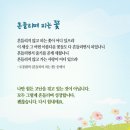 흔들리며 피는 꽃 이미지