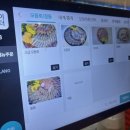 해물대장 이미지