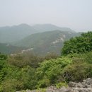 미주구리 이미지