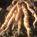 종근축산 이미지