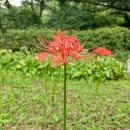 헌집줄게 새집다오 공인중개사사무소 | 알면 유익한 오늘 부동산 뉴스입니다