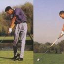 임팩트골프 이미지