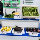 (주)스마트코리아 이미지