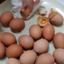 계란집 이미지