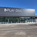 플레이독 파주본점 이미지