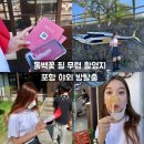 나나리즘 - 포항시 남구 중앙로122번길 29-2 | [구룡포야외방탈출] :: 구룡마을의 전설 용의 승천/ 동백꽃필무렵촬영지 구경도 하고~
