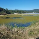 성주소류지 이미지