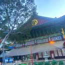 보천사 - 1690 | 조계사 서울사찰 나홀로 힐링 산책 관련총정보