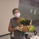 나움병원 이미지