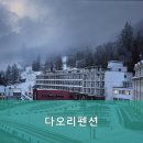 다오리펜션 - 고성군 천학정길 63 | 다오리펜션
