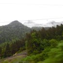 김성수행정사 이미지