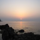 꽃지사랑 이미지