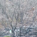 데굴데굴