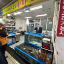 동진 수족관 이미지