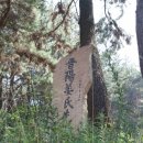 창원 가음정동 고분군 이미지