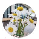 승주초등학교 병설유치원 | 힐링healing°