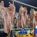 효진수산횟집 이미지