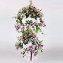 성현수정 이미지