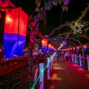 청사초롱 이미지