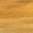 포라이즌 | 전남골프장 포라이즌CC 2박3일 후기