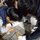 경충대로 9 | 생생국가유산 선사의 법칙 1박 2일 캠프 후기 (25.11.8~9)