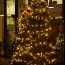 고신대 트리축제에서 이미지