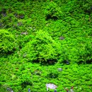초록화원 - 홍성군 내포로 36 | 초록화원