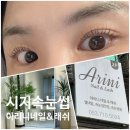아리니네일엔래쉬