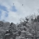 활공농장 이미지