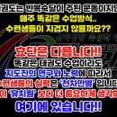 효단태권도장 이미지