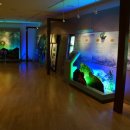 숲사랑홍보관 이미지