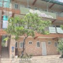 남이섬리버필드 이미지