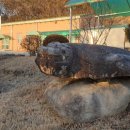 영평초교 이미지