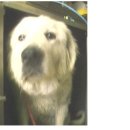 장위119 안전센터 이미지