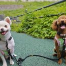 보듬보듬 이미지