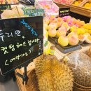 씨티청과 이미지