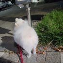 올리스 일산백석점 이미지