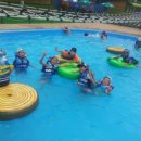 용인대 수영 태권도장 이미지