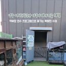 양주유치원 | 흙멍의 완벽한 조화! 양주 커피쉬수족관 유치원 학부모 힐링 연수 후기 (양주시육아종합지원센터 아쿠아...