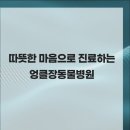 엉클장동물병원 이미지