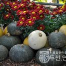 홍천농협농산물가공유통센터 이미지