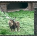 대공원충전소 이미지