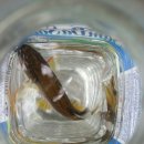 남이자연휴양림 이미지