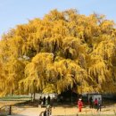 장수서창동-15 이미지