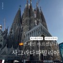 창조종합건축공사 | 바르셀로나 사그라다파밀리아 뜻, 성당 완공일정, 내부 가우디투어까지 정리