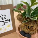 판암사회복지관 이미지