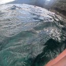 푸른나라 | 오키나와 푸른 동굴 한국 업체 루리 오키나와에서 스노클링 했던 후기