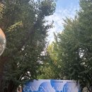 똑똑한 아트컬렉팅 이미지